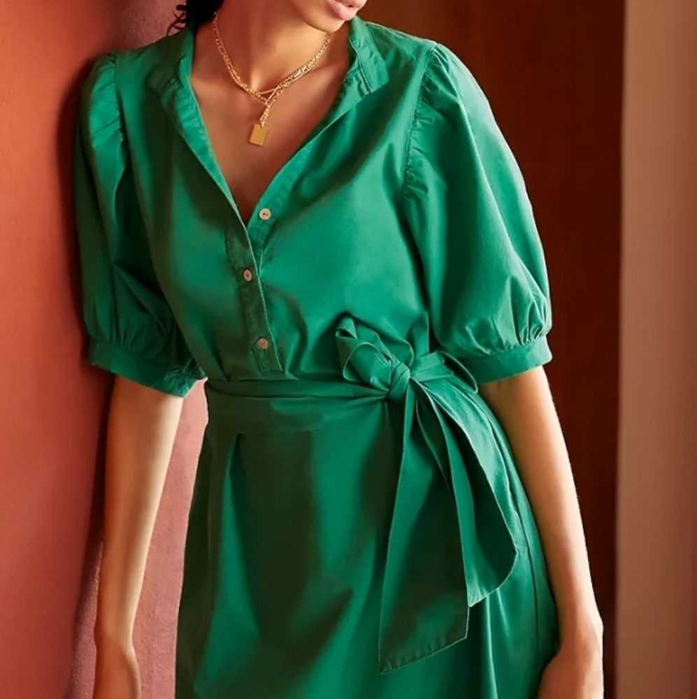 Amadi Glisy Green Puff Sleeve Mini Shirt Dress from Anthropologie